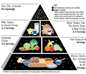 USDA 1992 Food Pyramid